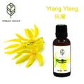 Verdant Nature Ylang Ylang Body Essential Oil (30ml)