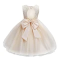 Baby Girls Tulle Lace Dress Bridesmaid Gown Party