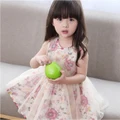 ??Ready stock ?? Kids Girl Lace Floral Dress