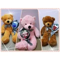 Valentine Romantic Package Teddy Bear with Rose Flower -Ready Stock