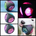 High Quality Safe Rubber Chew Sound Glow Elastic Ball Toy For Pet Dogs Puppies