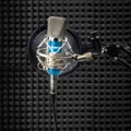 Microphone For Studio Recording With Shock Mount Blue BM-700