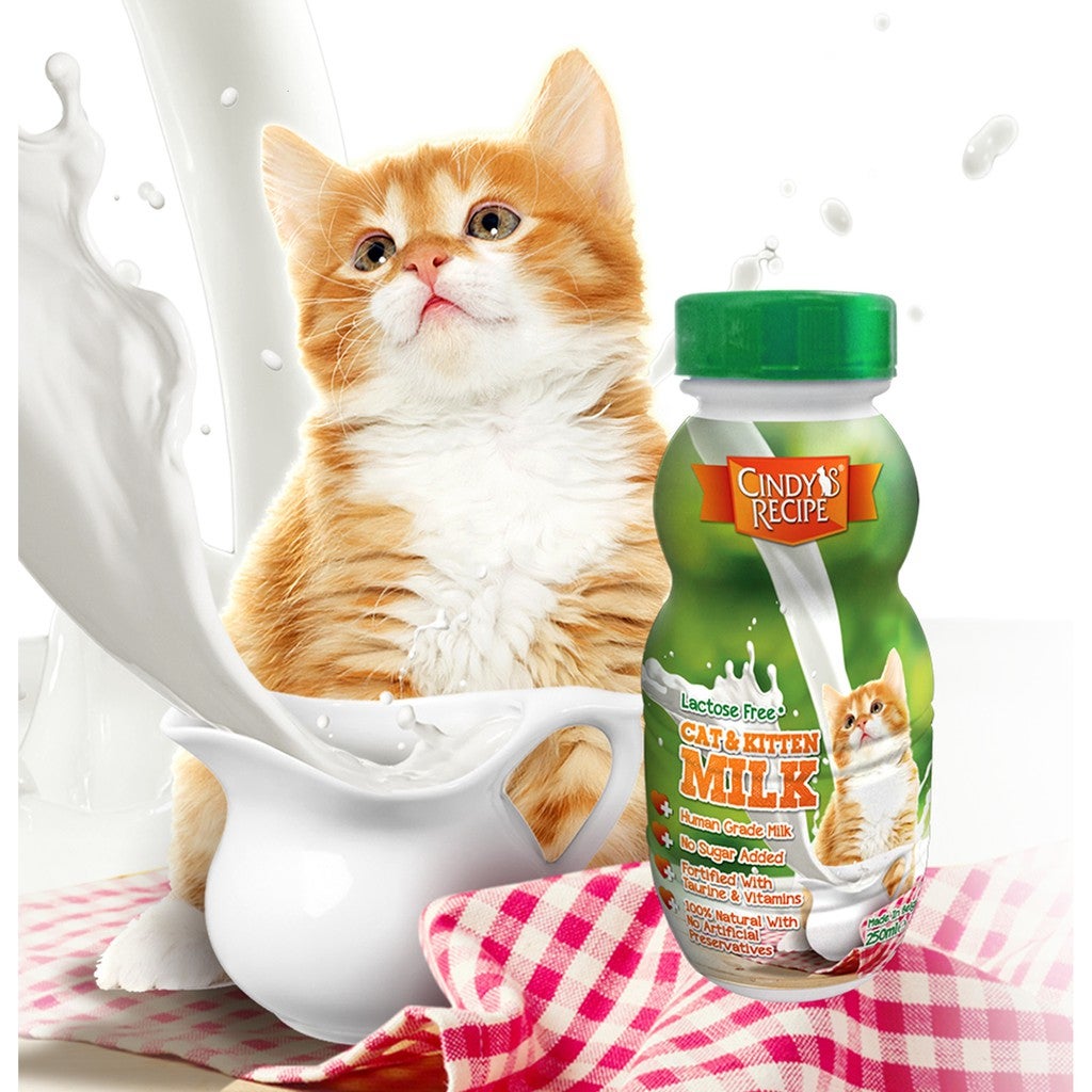 Cindy Recipe Lactose Free Cat/Kitten Milk 250ml