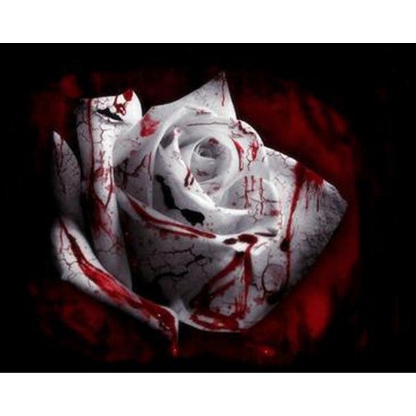 3x Packs Rare White Blood Flower Rose Seeds- LOCAL READY STOCKS