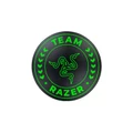Team Razer Floor Mat - Room and Gaming Chair Accessory for Esports