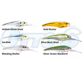 Nomad DTX Minnow 100mm Hard Body Fishing Lures