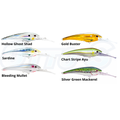 Nomad DTX Minnow 120mm Hard Body Fishing Lures