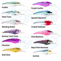 Nomad DTX Minnow 165mm Hard Body Fishing Lures