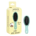 Watsons Detangle Hair Brush Mint 1s