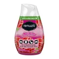 Renuzit Gel Air Freshener Forever Raspberry (Can Be Used In Multiple Rooms) 198g