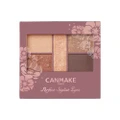 Canmake Perfect Stylist Eyes 23 1s