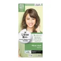 Liese Liese Creamy Bubble Color Mint Ash 108ml - Diy Foam Hair Color With Salon Inspired Colors (Includes Treatment Pack)