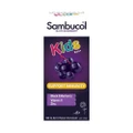 Sambucol Black Elderberry Kids Formula Tasty Berry Flavour (Suitable For Children) Aus Version 120ml