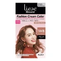 Liese Blaune Fashion Cream Color Warm Brown 1wb 108g