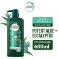 Herbal Essences Potent Aloe And Eucalyptus Conditioner (Restores Balance To The Scalp And Makes It Soft And Healthy) 600ml