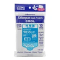 Salonpasâ® Gel Patch (Cool) Pain Reliever 10s