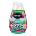 Renuzit Gel Air Freshener After The Rain (Can Be Used In Multiple Rooms) 198g