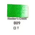 Sennelier สีน้ำ SN BLU 10ml. 809 Hooker's Green