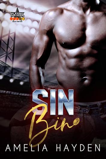 Sin Bin