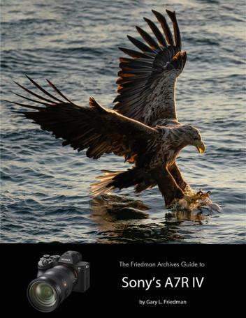 The Friedman Archives Guide to Sony's A7R IV