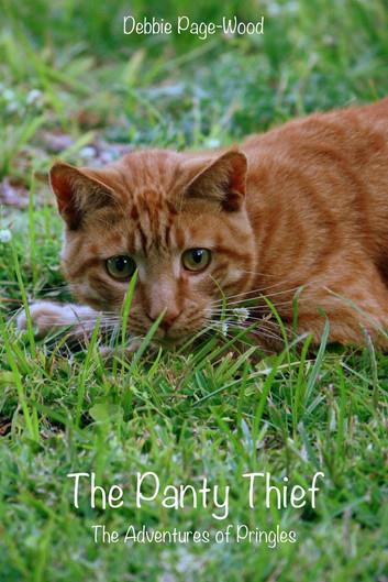 The Panty Thief: The Adventures of Pringles