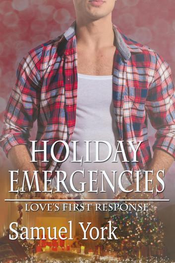 Holiday Emergencies: Love's First Response, #4