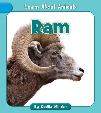 Ram