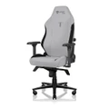 Ash Edition - Secretlab TITAN Evo Gaming Chair in Small, Leather