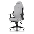 Ash Edition - Secretlab TITAN Evo Gaming Chair in XL, Leather