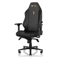 Stealth Edition - Secretlab TITAN Evo Gaming Chair in Regular, Leather