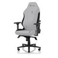 Ash Edition - Secretlab TITAN Evo Gaming Chair in Regular, Leather