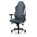 Royal Edition - Secretlab TITAN Evo Gaming Chair in Regular, Leather