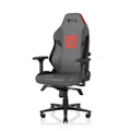 Dota 2 Edition - Secretlab TITAN Evo Gaming Chair in Regular, Leather
