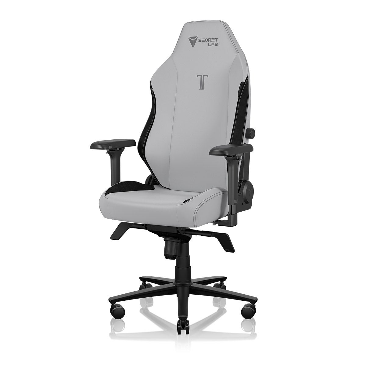 Ash Ergonomic Chair for Gaming and Office - Secretlab TITAN Evo in Small, Leather