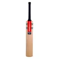 Vapour 500 RPlay Cricket Bat, Multicolor / LB