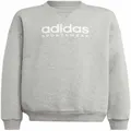 Junior's Fleece Crew Sweatshirt, Grey / 11-12