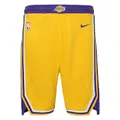 Junior's Los Angeles Lakers Icon Swingman Shorts, Yellow / L