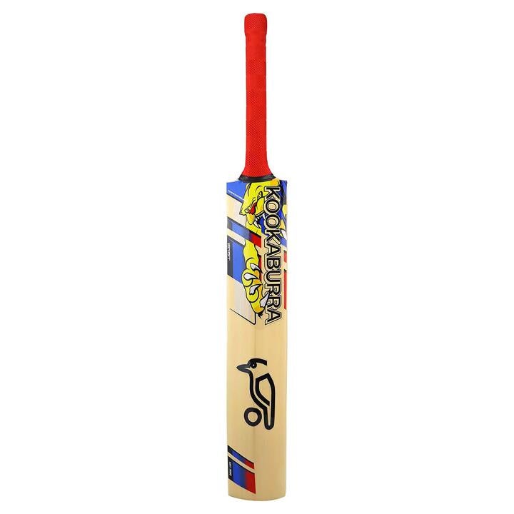 Beast Pro 9.0 Junior's Cricket Bat