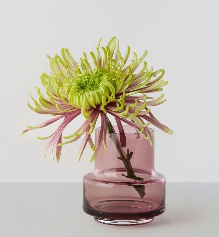 Ro Collection Hurricane Tea Light no.25