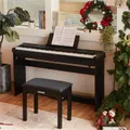 Donner DEP-20 Portable Keyboard Piano 88-Key Weighted with Stand - Piano＆Bench