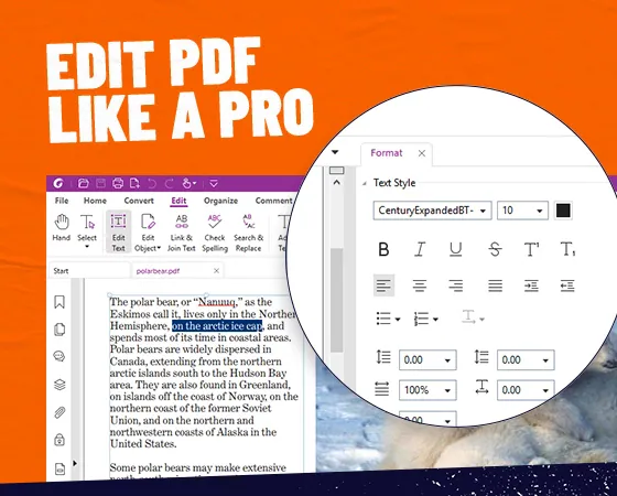 Foxit PDF Editor, One-time purchase