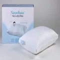 Nature Basics Microsofty Pillow