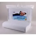 Sleep Solution Cooling Memory Foam Pillow