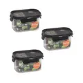 Locknlock Bisfree Modular Food Container 3p Set Rect, 450ML