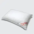 Esprit Microfibre Pillow, Set Of 2
