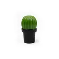 Qualy Tasty Cactus Salt/pepper Grinder, Black & Green