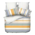 Esprit Sparkle 100% Cotton Luster Sateen Bed Set, Multicolour, Super Single