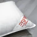 Esprit Microfibre Pillow, Set Of 2