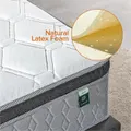 Zinus Icoil 12" Latex & Memory Foam Hybrid Spring Mattress