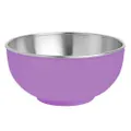 Zebra Colour Bowl 11cm Purple, Silver